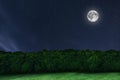 Night sky forest background with moon and stars. Full moon. Royalty Free Stock Photo
