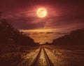 Night sky and full moon above silhouettes of trees and railway Royalty Free Stock Photo