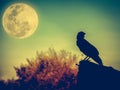 Night sky with full moon, tree and silhouette ofcrow that can be Royalty Free Stock Photo