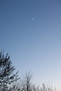 Night sky landscape. Crescent Moon on dark blue night sky background.