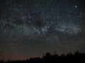 Night sky and milky way stars, Cygnus and Lyra constellation over forest Royalty Free Stock Photo