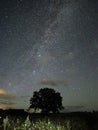 Milky way stars night sky Perseus constellation observing Royalty Free Stock Photo