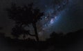 Night sky with Milkyway galaxy over tree silhouettes, as seen from Madagascar coast Royalty Free Stock Photo