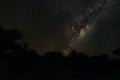 Night sky with Milkyway galaxy over trees silhouettes as seen from Anakao, Madagascar, bright Jupiter visible near Ophiuchus