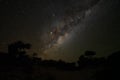 Night sky with Milkyway galaxy over trees silhouettes as seen from Anakao, Madagascar, bright Jupiter visible near Ophiuchus