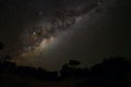 Night sky with Milkyway galaxy over trees silhouettes as seen from Anakao, Madagascar, bright Jupiter visible near Ophiuchus