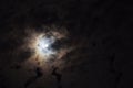 The night sky, moon hiding behind the clouds