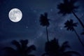 night sky, moon and palm trees. stars in the tropics Royalty Free Stock Photo