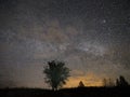 Night sky stars and milky way star observing over tree Royalty Free Stock Photo