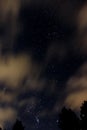 Night sky with orion, clouds and trees Royalty Free Stock Photo