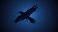 Night sky raven silhouette soaring, starry background, graphic design Royalty Free Stock Photo