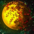 Night sky is romantic, with a large orange moon and Red leaf, floating beautifully, looking like one of the fairy tale scenes