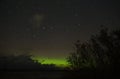Trees aurora polar lights big dipper constellation stars Royalty Free Stock Photo