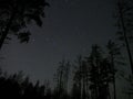 Night sky stars big dipper constellation forest atmosphere Royalty Free Stock Photo