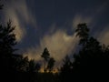 Night sky stars forest clouds big dipper constellation Royalty Free Stock Photo