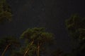 Night sky stars Cassiopeia constellation over forest