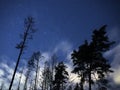 Night sky stars Cassiopeia constellations over winter forest