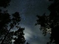 Night sky stars and clouds over forest Cygnus Lyra constellation