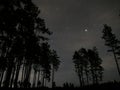 Night sky stars Jupiter over forest