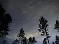 Night sky stars Leon constellation over forest