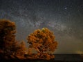 Night sky stars and  milky way panoram Royalty Free Stock Photo
