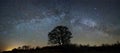 Night sky stars and  milky way panoram Royalty Free Stock Photo