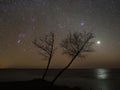 Night sky stars orion pleiades and venus observing