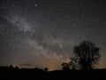 Night sky stars and milky way star observing over tree Royalty Free Stock Photo
