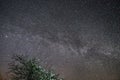 Night sky stars and milky way star observing over tree Royalty Free Stock Photo