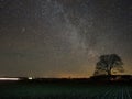 Night sky stars milky way and tree nightscape Royalty Free Stock Photo