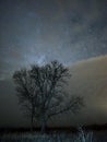 Milky way night sky stars and clouds over tree nightscape Royalty Free Stock Photo