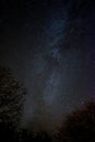 Night sky with stars and milkyway. Royalty Free Stock Photo