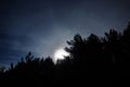 Moon light stars and blue clouds over night forest Royalty Free Stock Photo