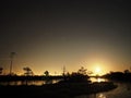 Night sky stars Moon rise over swamp observing Royalty Free Stock Photo