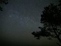 Night sky stars Perseus and Cassiopeia constellation over forest