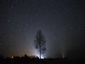 Night sky stars observing, Virgo constellation and tree Royalty Free Stock Photo