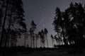 Night sky stars Orion constellation over forest Royalty Free Stock Photo