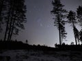 Night sky stars Orion constellation over forest Royalty Free Stock Photo