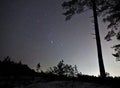 Night sky stars Orion constellation over forest Royalty Free Stock Photo