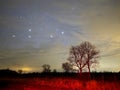 Night sky stars Orion and Taurus constellation red light nightscape Royalty Free Stock Photo