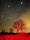 Night sky stars Orion and Taurus constellation red light nightscape Royalty Free Stock Photo