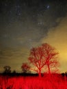 Night sky stars Orion and Taurus constellation red light nightscape Royalty Free Stock Photo