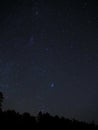 Night sky stars and Pleiades cluster M45 over forest Royalty Free Stock Photo