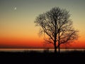 Night sky stars Pleiades Venus and Moon set observing over sea coast Royalty Free Stock Photo