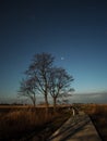 Night sky stars pleiades and venus observing Royalty Free Stock Photo