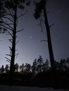 Night sky stars Taurus constellation pleiades open star cluster