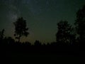 Universe night sky stars over forest Royalty Free Stock Photo