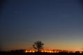 Night sky strars observing over field Royalty Free Stock Photo