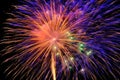 Explosive beauty as vibrant bursts of fireworks. Generative AI