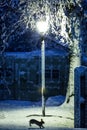 Night snow with lantern winter cold weather